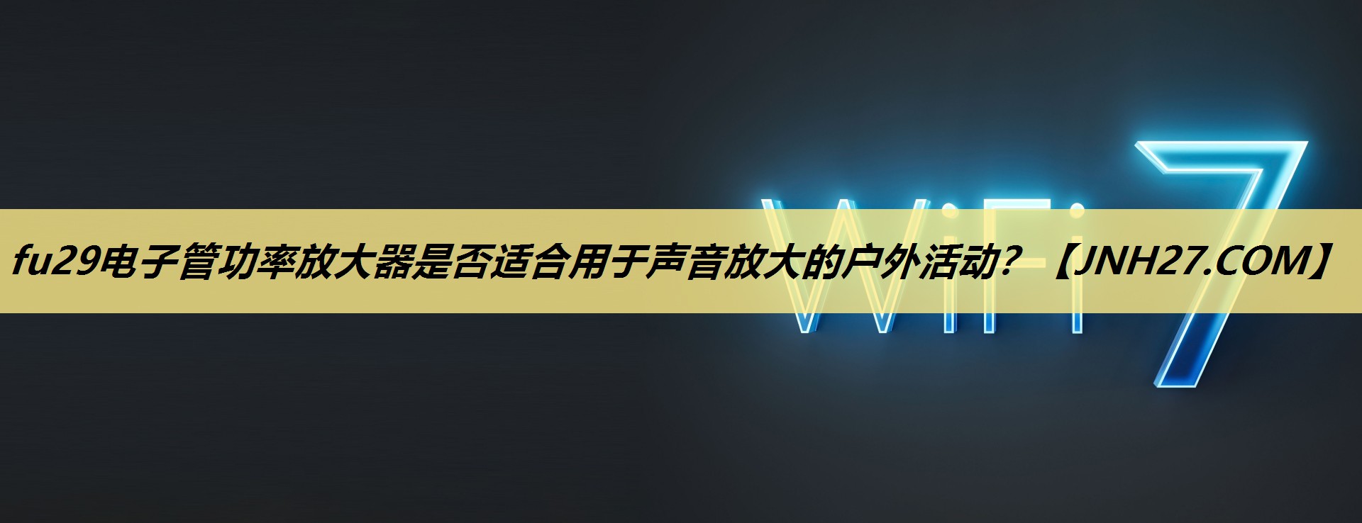 fu29电子管功率放大器是否适合用于声音放大的户外活动？