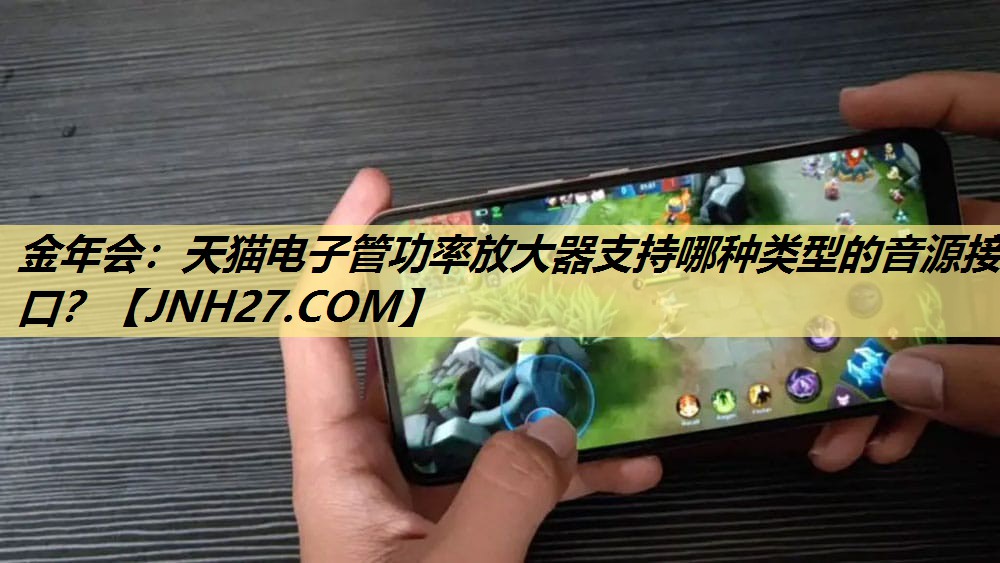 天猫电子管功率放大器支持哪种类型的音源接口？