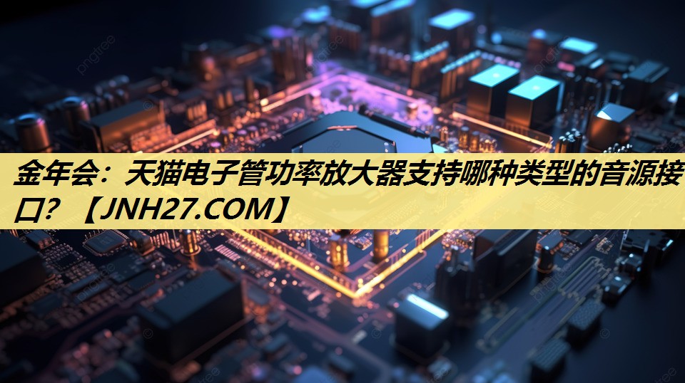 天猫电子管功率放大器支持哪种类型的音源接口？