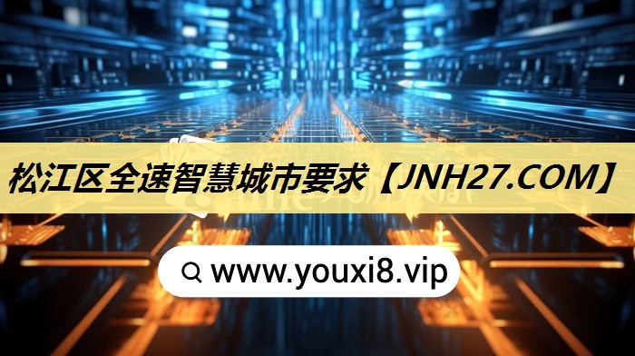 松江区全速智慧城市要求